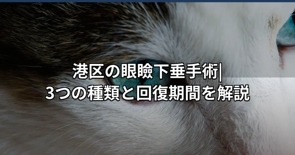 港区の眼瞼下垂治療|症状・手術・ダウンタイムを形成外科医が解説